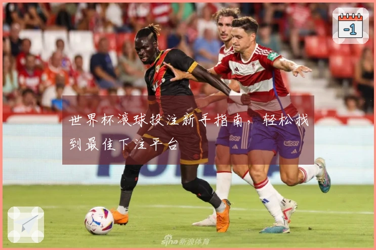 世界杯滚球投注新手指南，轻松找到最佳下注平台
