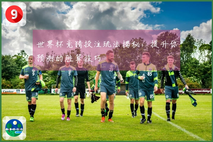 世界杯竞猜投注玩法揭秘，提升你预测的胜算技巧