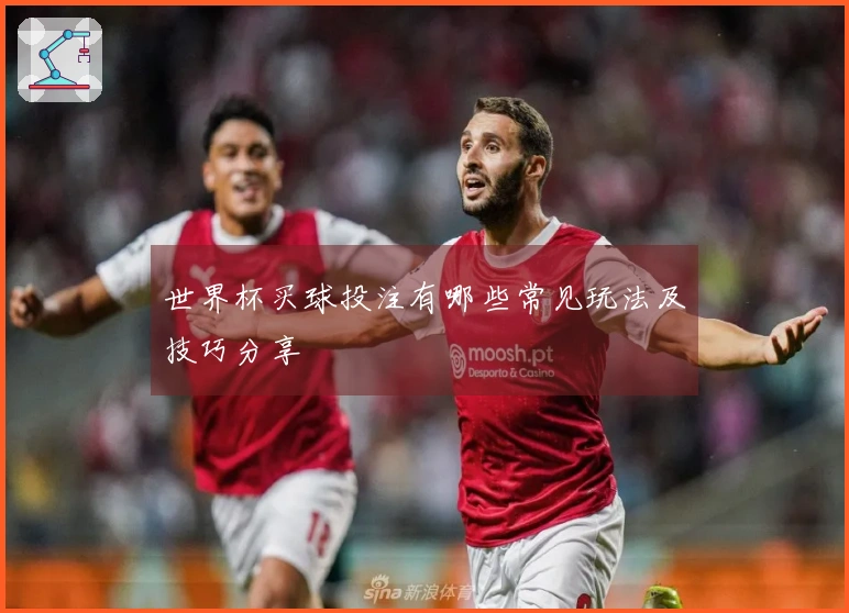 世界杯买球投注有哪些常见玩法及技巧分享